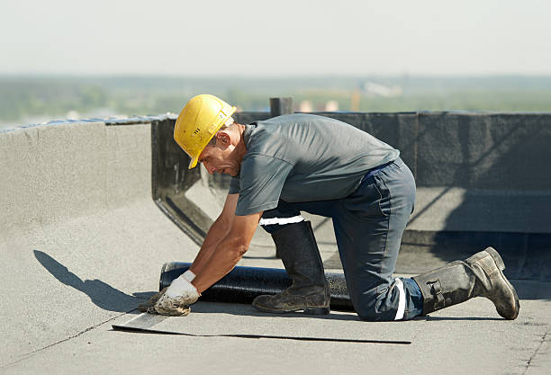 Best Insulation Maintenance and Repair in Elephant Butte, NM